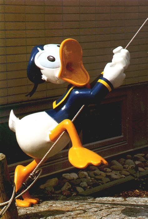 Donald Duck – Wikipedia