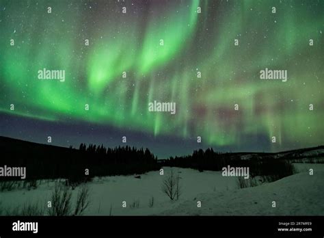 Northern lights, Aurora Borealis, Alaska Stock Photo - Alamy