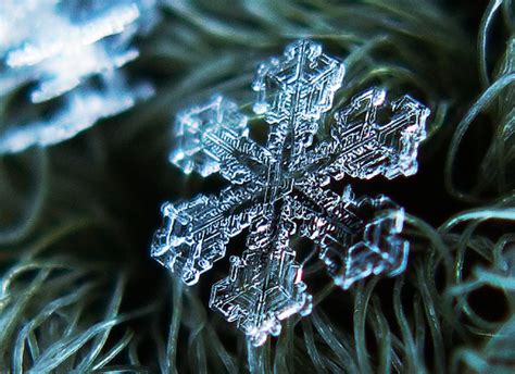 Snowflakes under a Microscope. | elephant journal