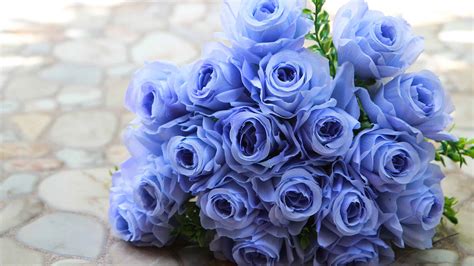 9 Types Of Stunning Blue Roses - A-Z Animals