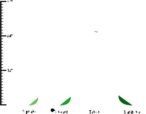 Types of Ukuleles: What Are the Different Kinds of Ukes? (2022 Edition)