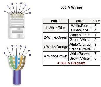 Cat5 Wiring Diagram: A Complete Tutorial | EdrawMax