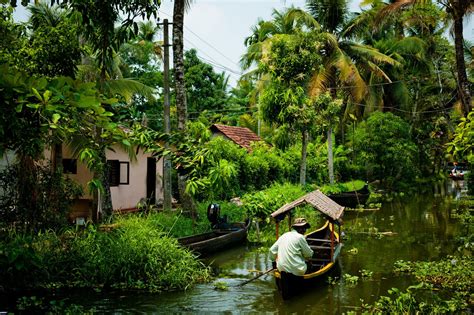 Hay mucho que ver en Kerala, la tierra de las mil palmeras