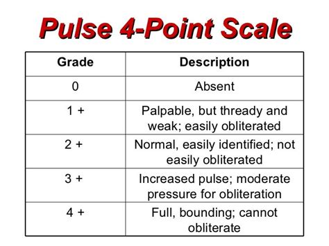 pulse score thready bounding | Nursing school tips, Nursing school notes, Nursing school life