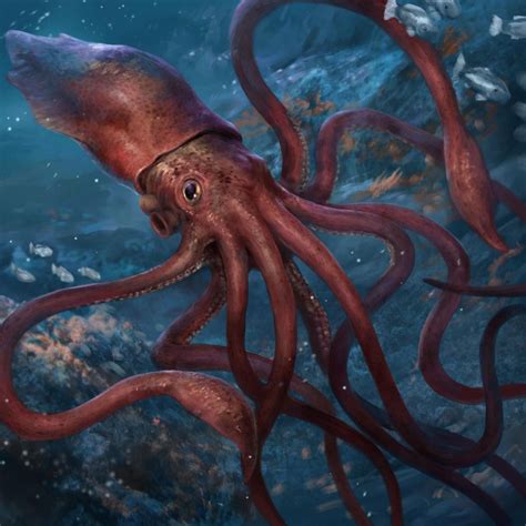 Giant Squid by Herckeim on DeviantArt | Giant squid, Scary sea creatures, Scary animals