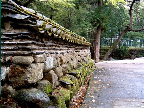 Pin by Han Jinhwa on Korea culture & nature | Natural fence, Nature ...