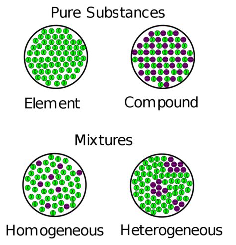 Homogeneous