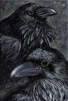 crow painting Quoth The Raven, Raven Bird, Crow Art, Bird Art, Rabe ...