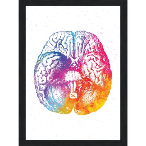 Brain’s Basal View Anatomy Abstract Art - MedArts | Medical Art Store