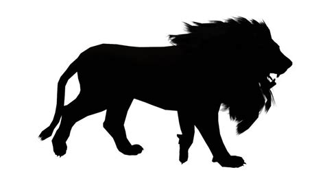 Lion Silhouette at GetDrawings | Free download