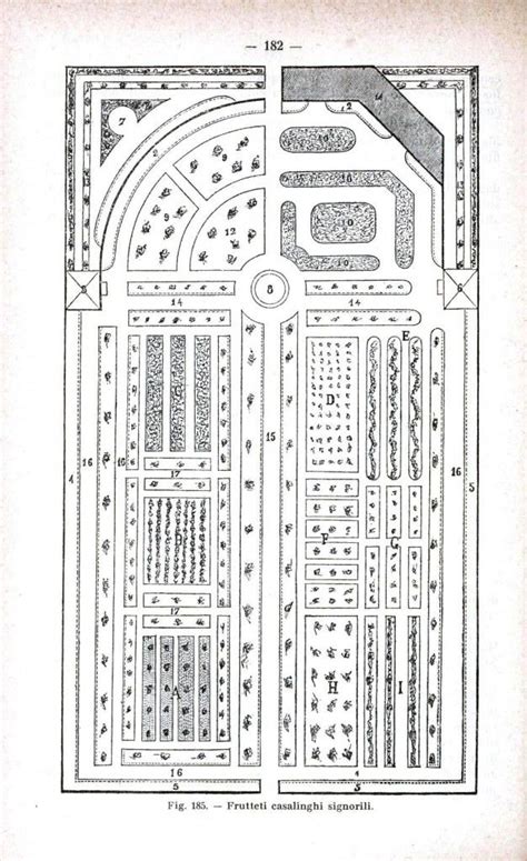 Fruit Garden Design Layout - Jessica Dovale