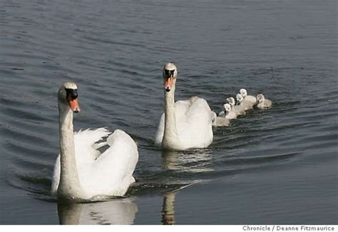 Barging through Burgundy / Quiet rivers and canals lead to its less-traveled corners