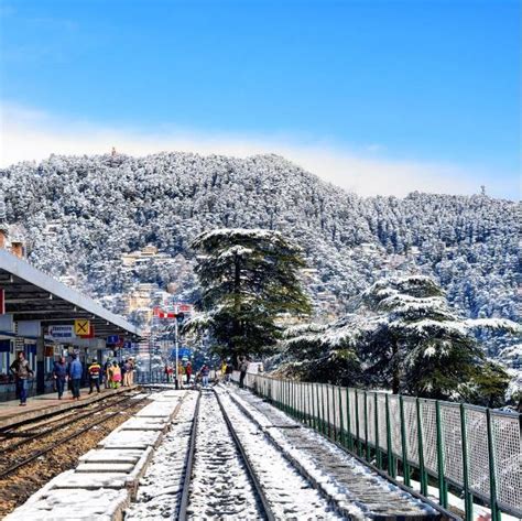 Snowfall In Mussoorie After 19 Years Looks As Magical As Youd Expect