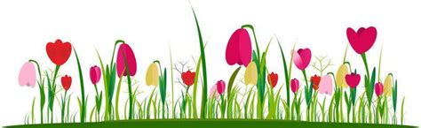 Spring Flower Garden Vector Art, Icons, and Graphics for Free Download