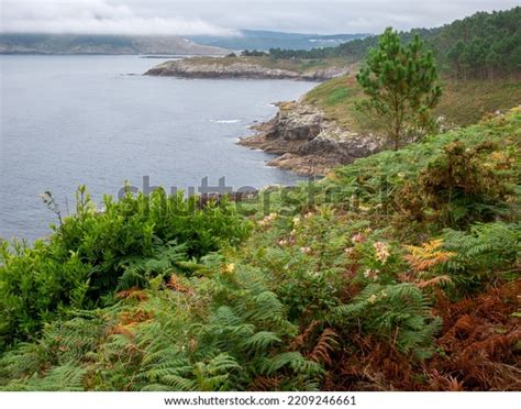 Way Lighthouses Costa Da Morte Galicia Stock Photo 2209246661 | Shutterstock