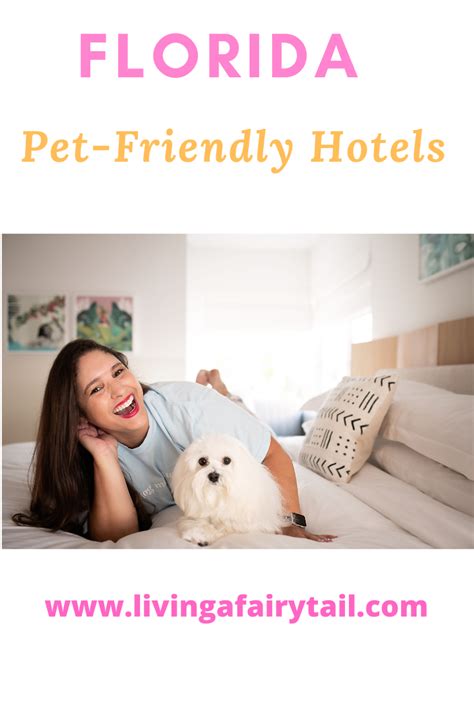 Florida Pet-Friendly Hotels | Pet friendly hotels, Florida hotels, Pet friendly