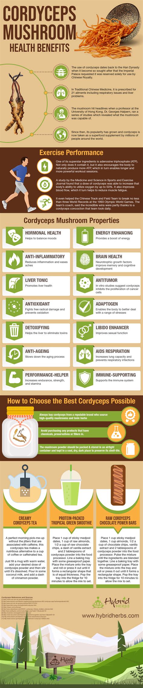 Cordyceps Mushroom Health Benefits