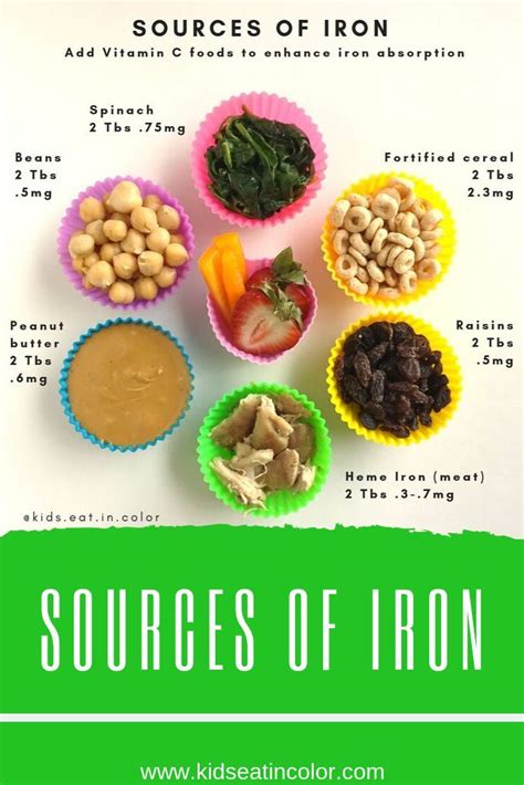 iron rich foods list for babies - Brittni Stackhouse