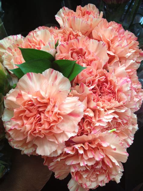 New Buy Carnations In Bulk Flower – Beautiful Flower Arrangements and ...
