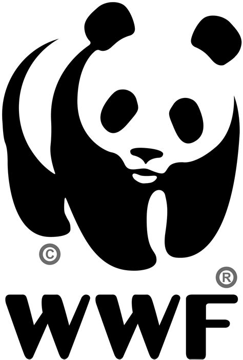 Wwf Logo Png Transparent