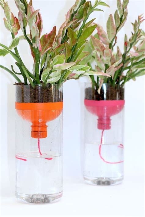 Um guia simples para deixar sua casa mais sustentável » STEAL THE LOOK | Diy self watering ...