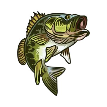 Vector Fish Drawing Illustration Graphics, Vector, Fish, Graphics PNG and Vector with ...