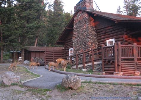 51 Cent Adventures: Roosevelt Lodge - Yellowstone National Park