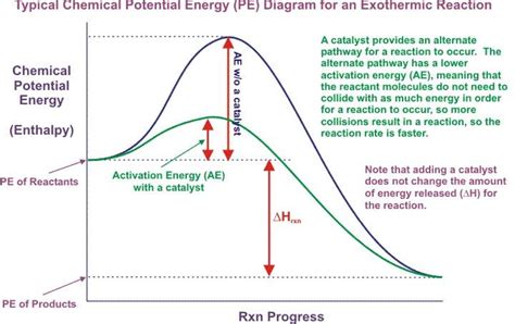 Effect of catalysts on rate of reaction #catalyst #activationenergy | Energy activities ...