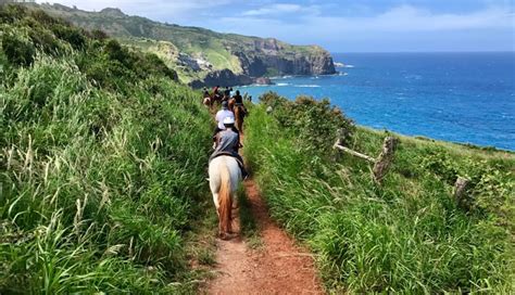 Horseback Riding Maui