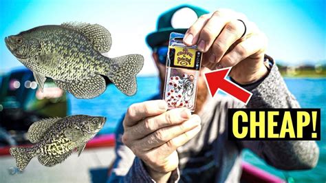 Crappie fishing with minnows (+crappie rig setup with a jig) rigging tips - YouTube