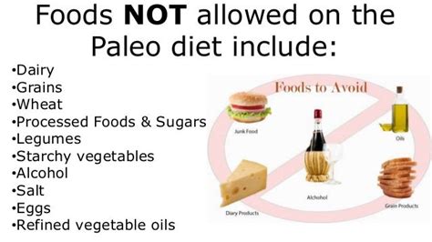 What Is The Best Weight Loss Diet? Men Over 40 | Men Over 50