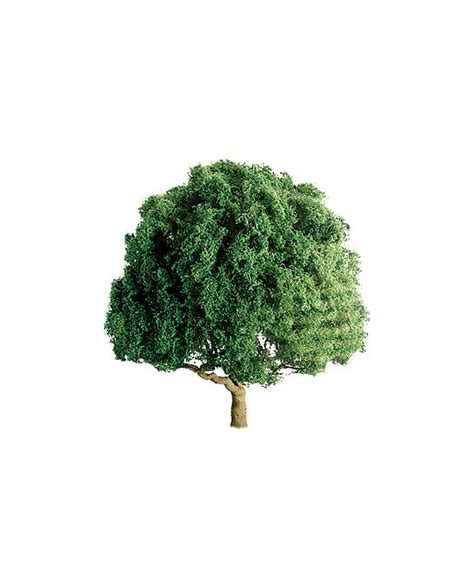 Oak Tree 3" - 94264 - Trains-Scenery : Hobbycorner - JTT