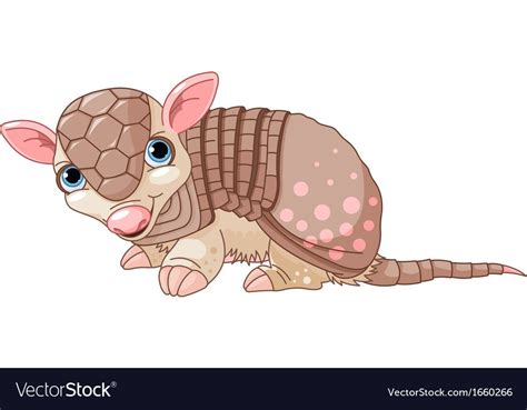 Armadillo cartoon Royalty Free Vector Image - VectorStock | Armadillo art, Armadillo, Cartoon