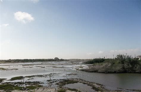 Pin by Claudia McCarty on Indianola, Texas | Texas history, Estuary ...