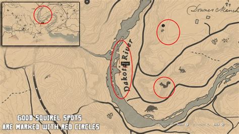 Where is Squirrel Statue RDR2 - All Locations | Step-by-Step Guide ...