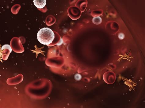 Red blood cells, white blood cells, and platelets in vein CGI illiustration HD wallpaper ...