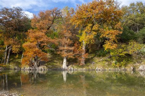 Guadalupe River State Park