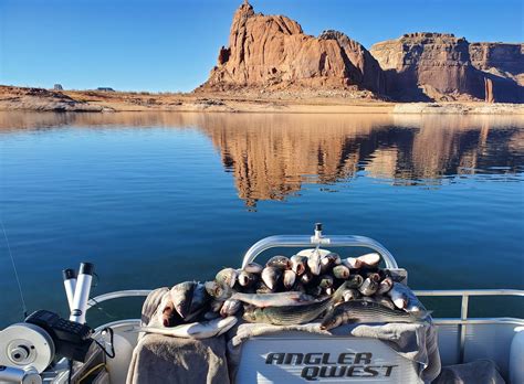 Lake Powell Fishing Guides - Fishmasters.com