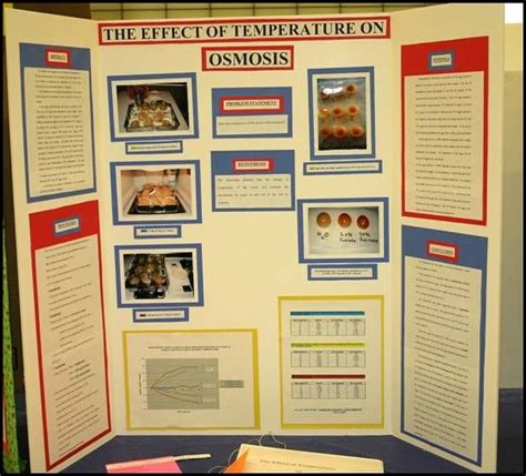 Example Science Fair Projects Page 1 | Science fair projects, Biology science fair projects ...