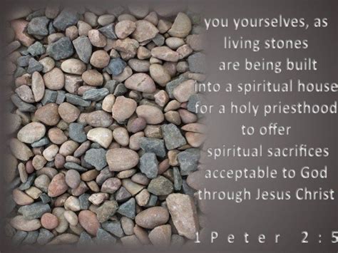 1 Peter 2:5 | 1 peter, Spirituality, Do what is right