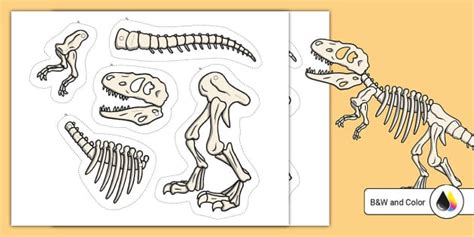 Dinosaur Skeleton Split Pin Craft Activity | Twinkl USA