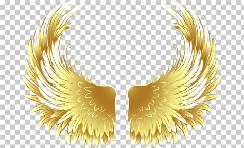 Download High Quality wings clipart colorful Transparent PNG Images ...