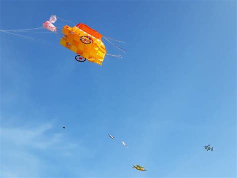 Attractive Kite Flying Competition in Valveddithurai | Tamil Diplomat