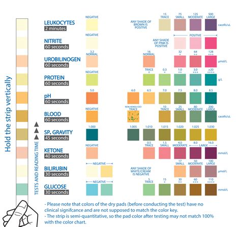 10 Parameter Urinalysis Test at Home