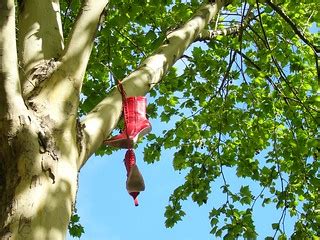 Boots on the tree | Ker Fern Tan | Flickr