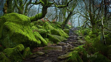 England Forest path in Padley Gorge in Derbyshire-2017 Bing Desktop ...