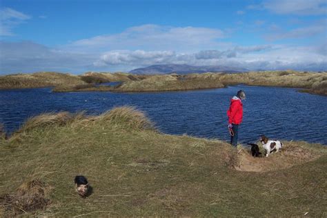 Walney Island Beach with Janet's Dogs • Walking the Cumbrian Mountains