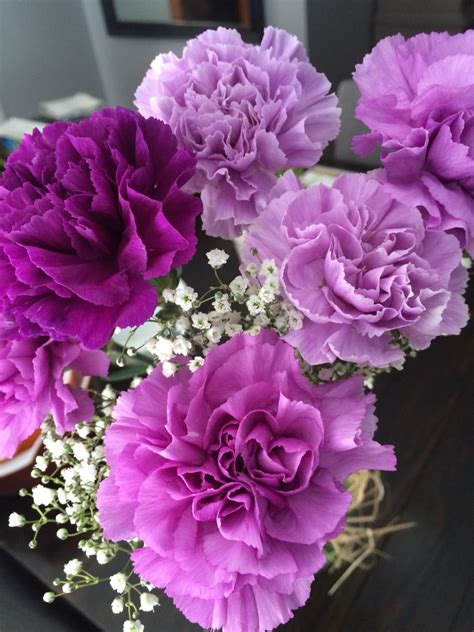 Purple carnations | Purple carnations, Boquette flowers, Carnation flower