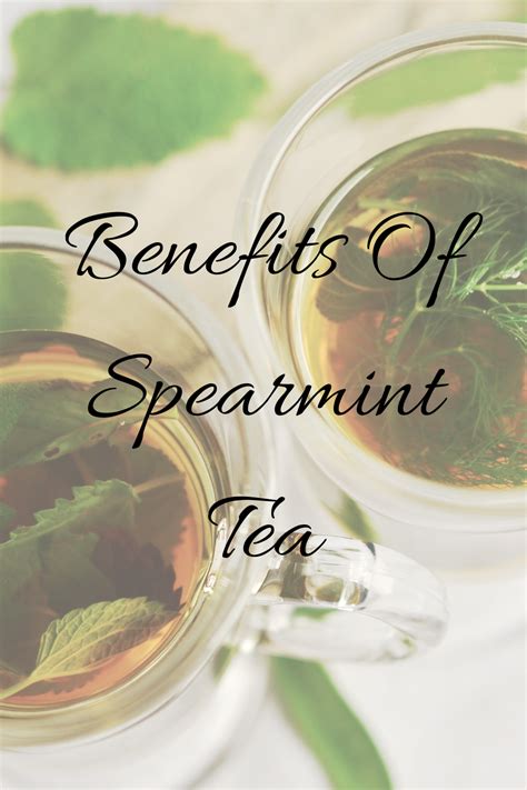 Benefits Of Spearmint Tea in 2020 | Spearmint tea, Spearmint tea ...