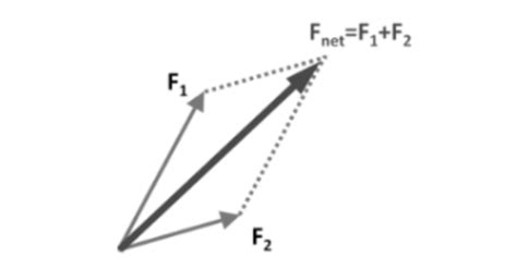 Parallelogram Law of Forces: Statement, Proof, Formula